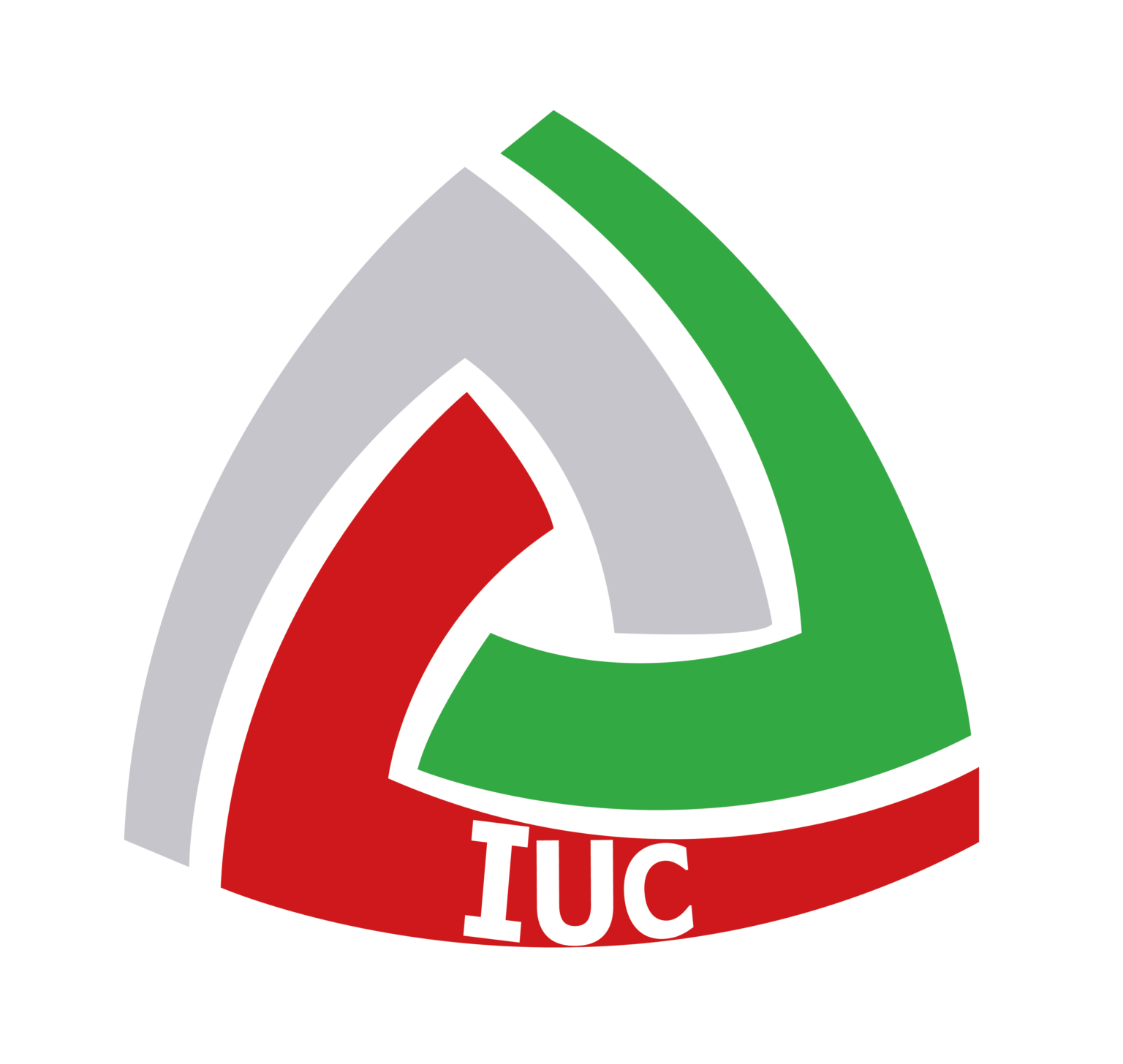 Partners universities